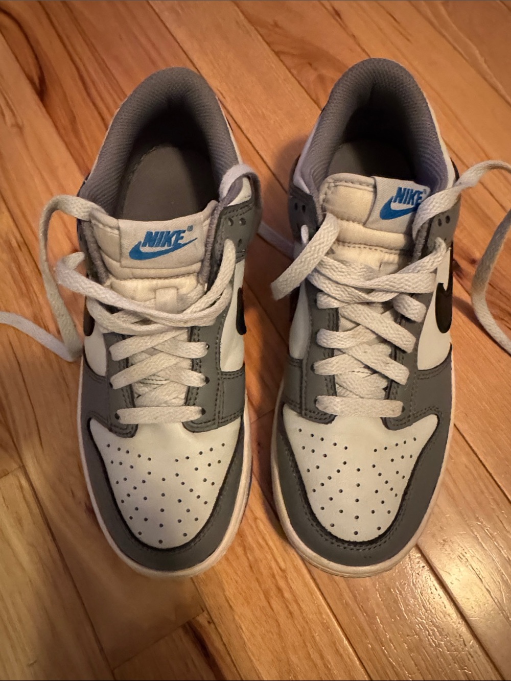 Nike Dunk Kids Gray and White Low-Top Sneakers with Blue Logo